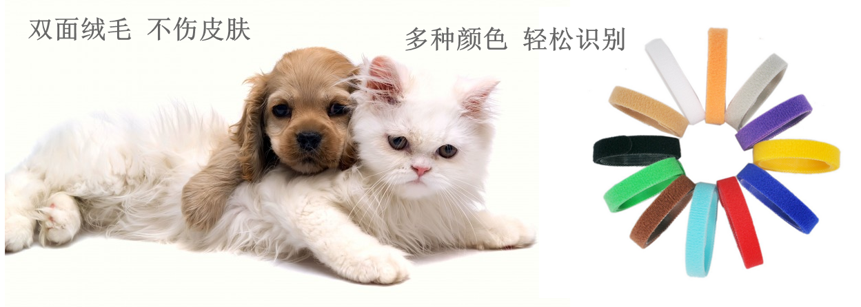 详情页1.png